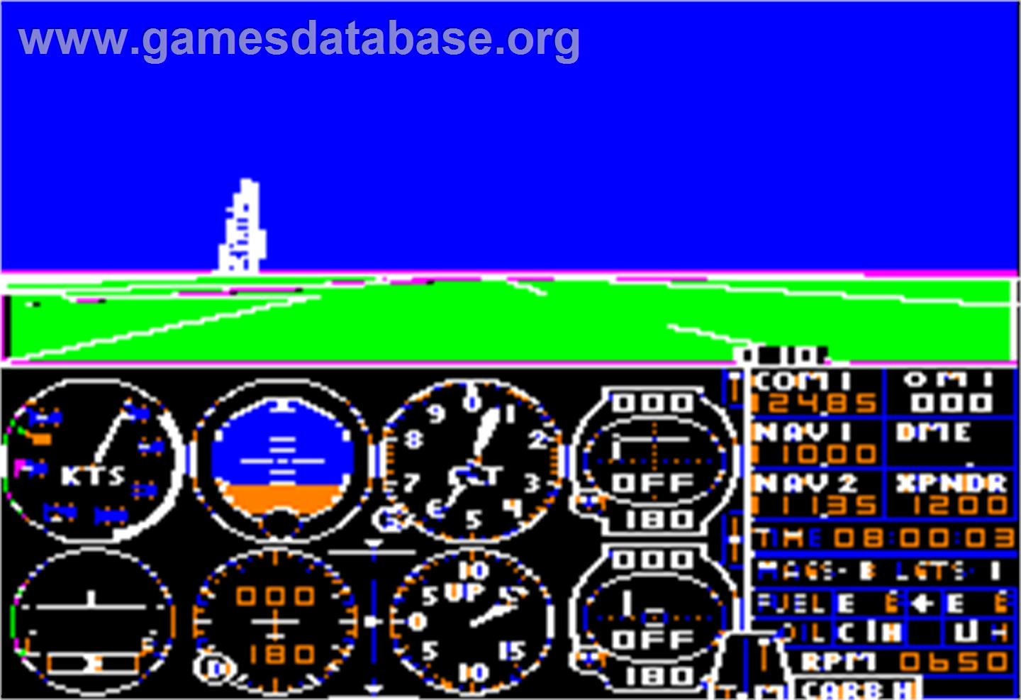 Flight Simulator - Apple II - Artwork - In Game