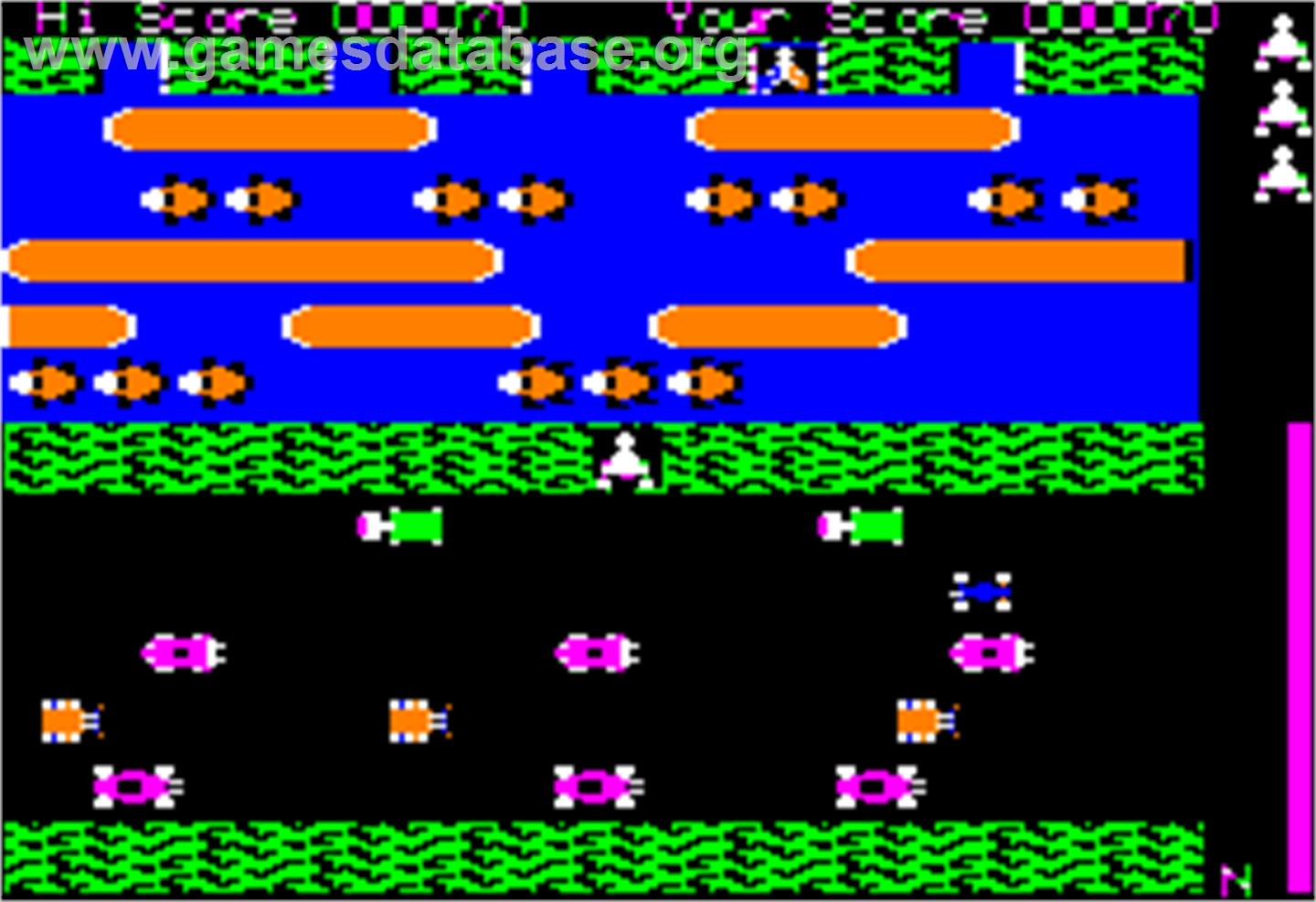 Frogger - Apple II - Artwork - In Game