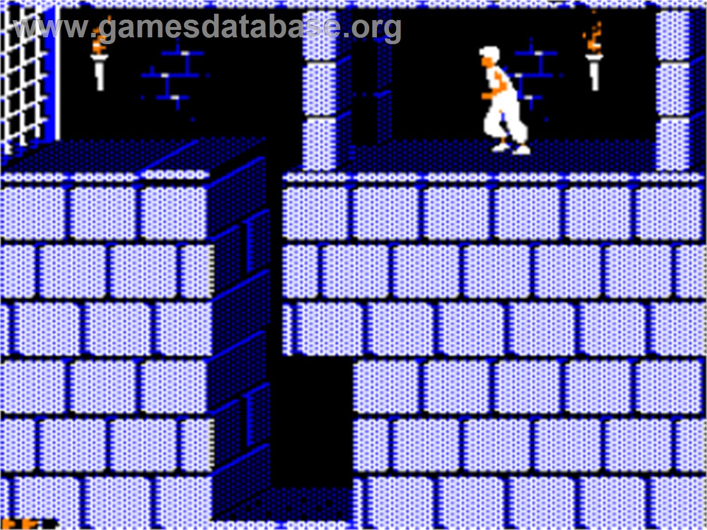 Prince Of Persia - Apple II - Artwork - In Game
