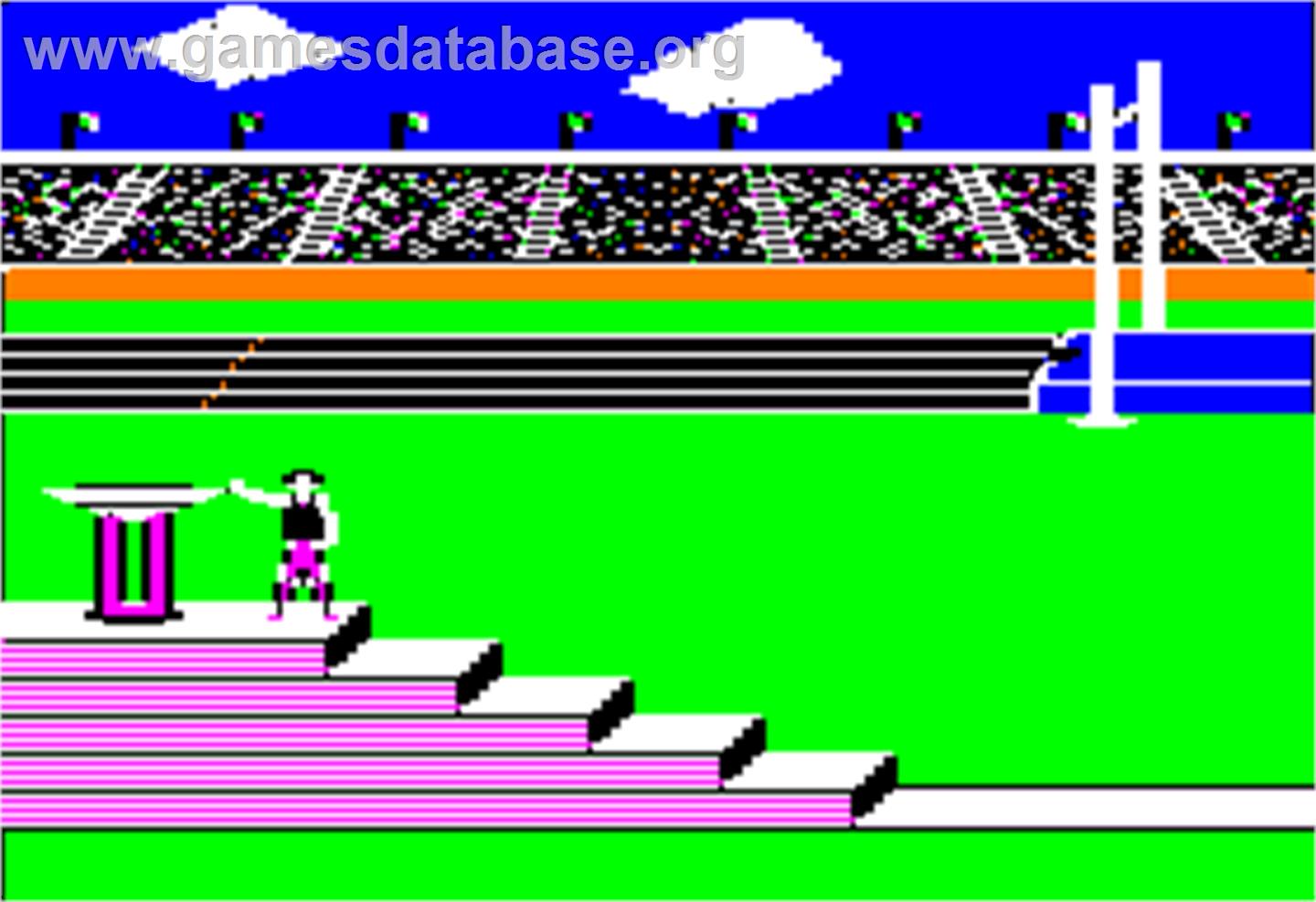 Summer Games - Apple II - Artwork - In Game