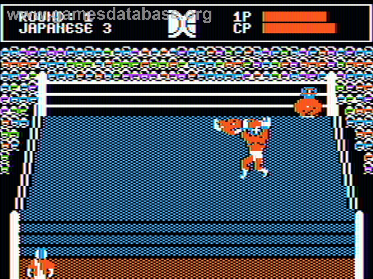 Tag Team Wrestling - Apple II - Artwork - In Game