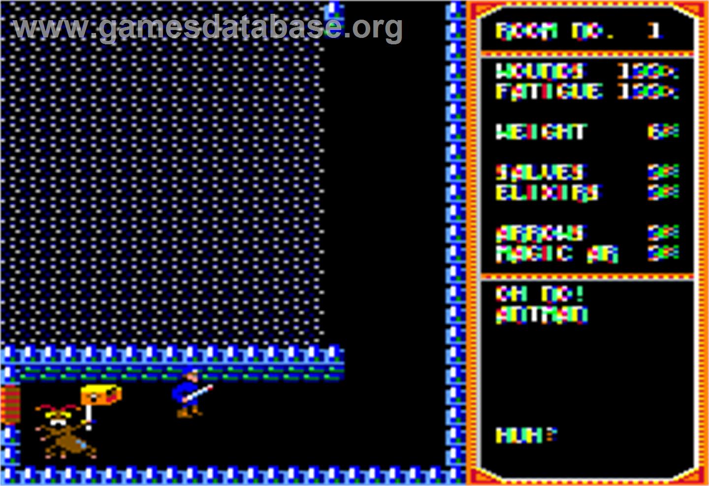Temple of Apshai Trilogy - Apple II - Artwork - In Game
