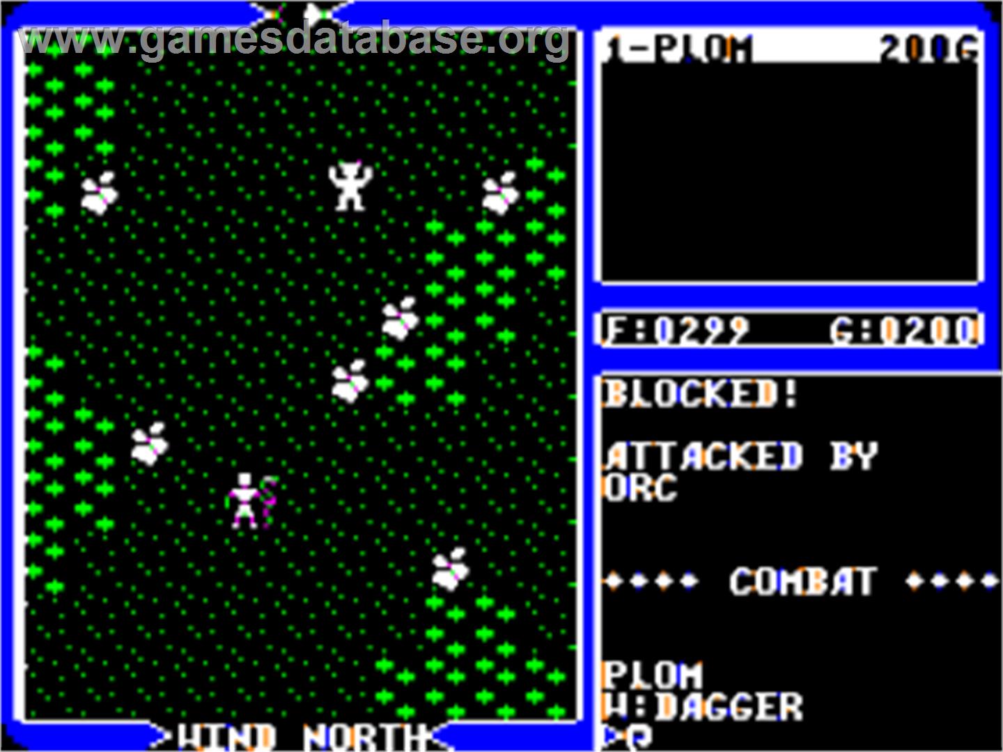 Ultima 4 - Quest Of The Avatar - Apple II - Artwork - In Game