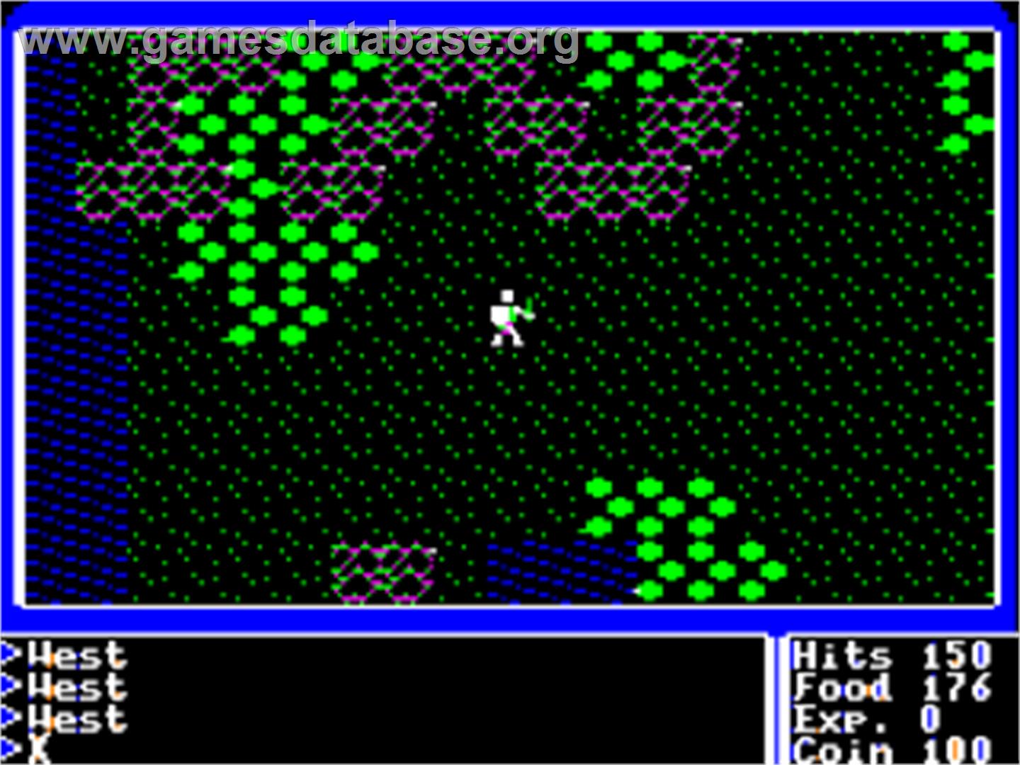 Ultima I: The First Age of Darkness - Apple II - Artwork - In Game