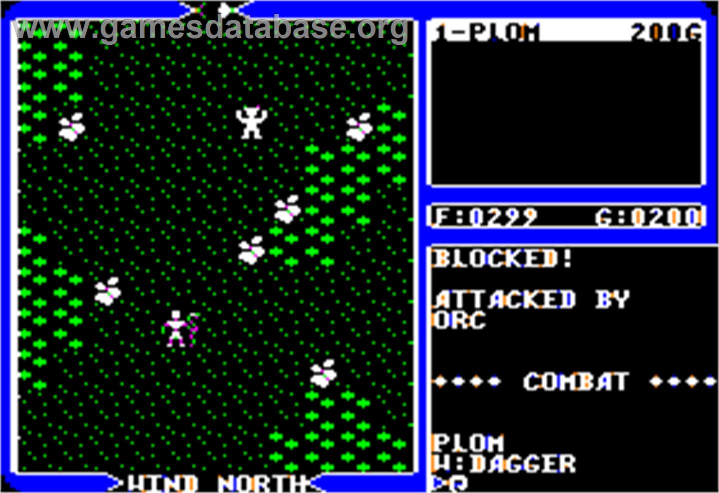 Ultima IV: Quest of the Avatar - Apple II - Artwork - In Game