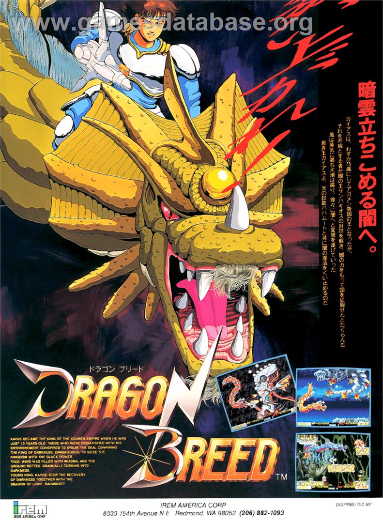 Dragon Breed - Arcade - Artwork - Advert