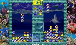 Artwork for Aquarium.