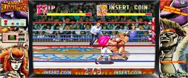 Artwork for Muscle Bomber: The Body Explosion.