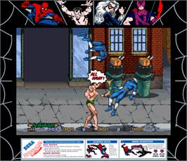 Artwork for Spider-Man: The Videogame.