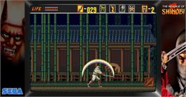 Artwork for The Revenge of Shinobi.