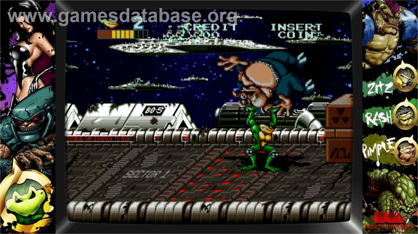 Battletoads - Arcade - Artwork - Artwork