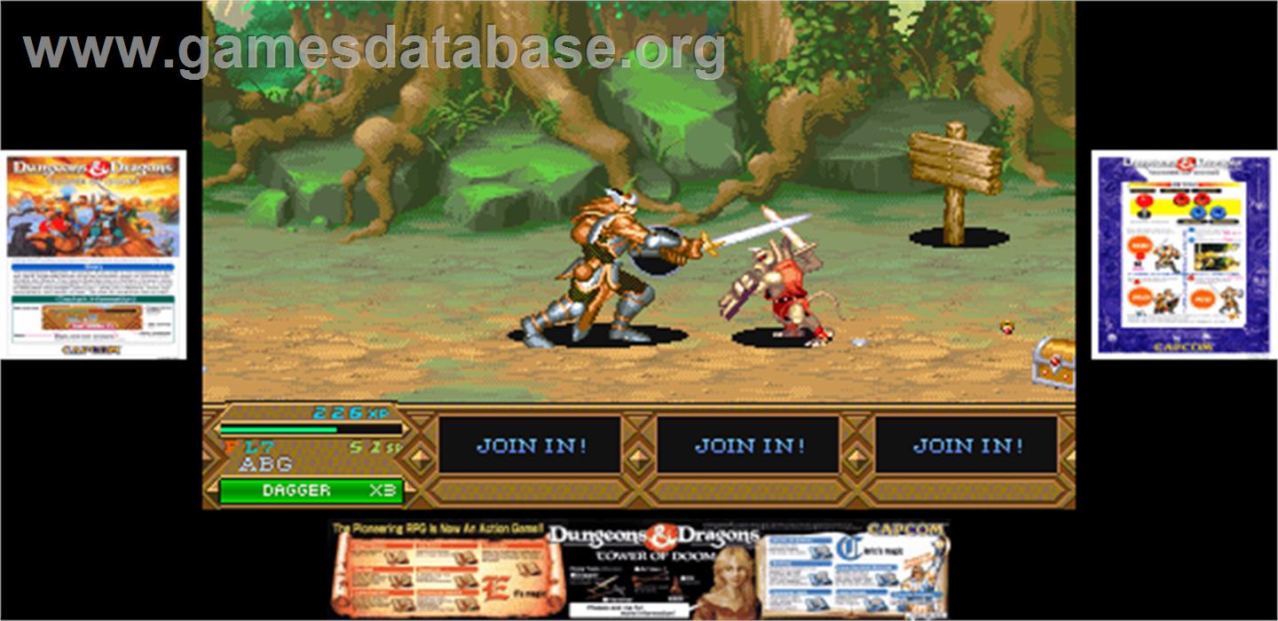 Dungeons & Dragons: Tower of Doom - Arcade - Artwork - Artwork