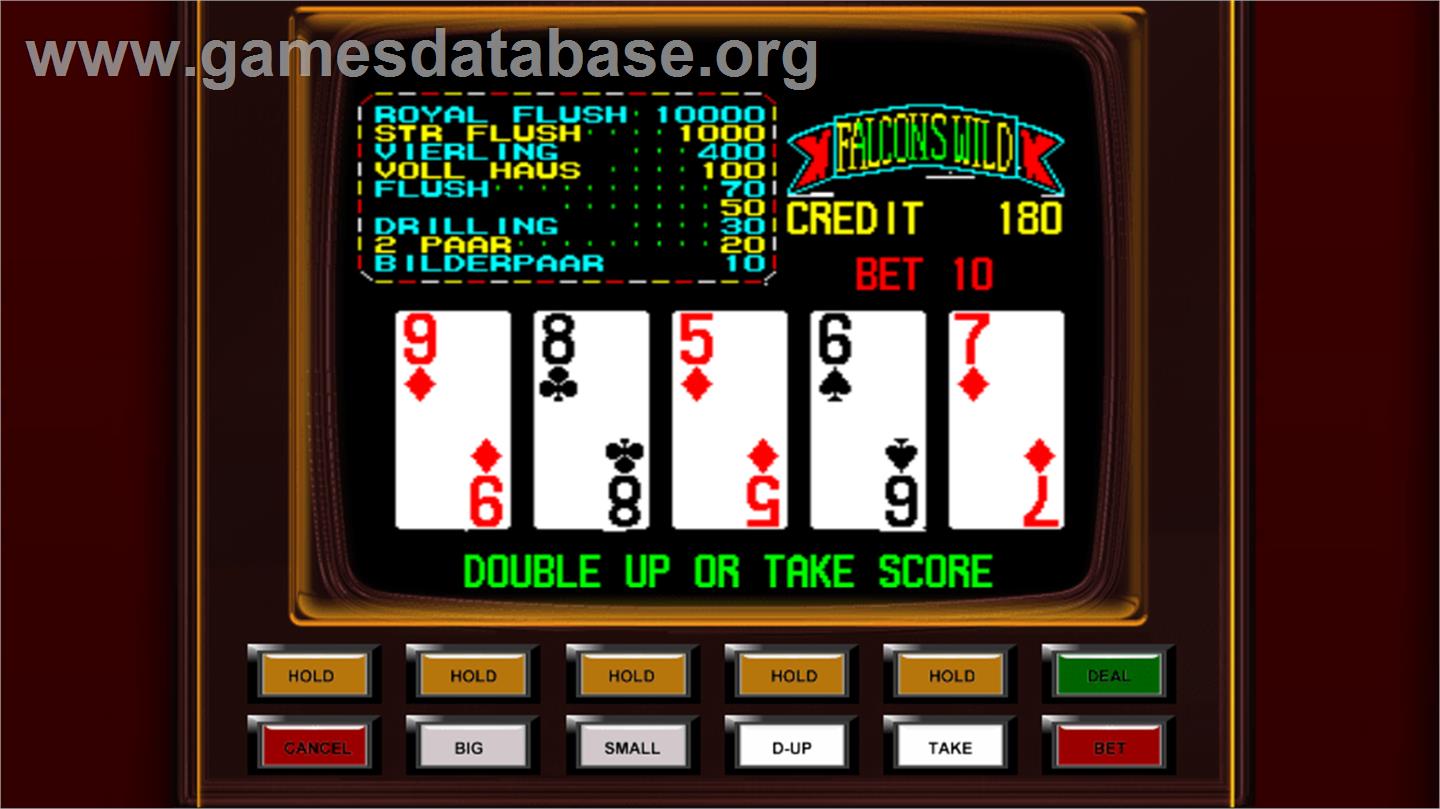 Falcons Wild - World Wide Poker - Arcade - Artwork - Artwork