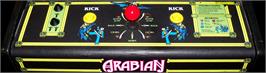 Arcade Control Panel for Arabian.