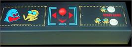 Arcade Control Panel for Pac-Man Plus.