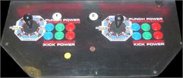 Arcade Control Panel for Survival Arts.