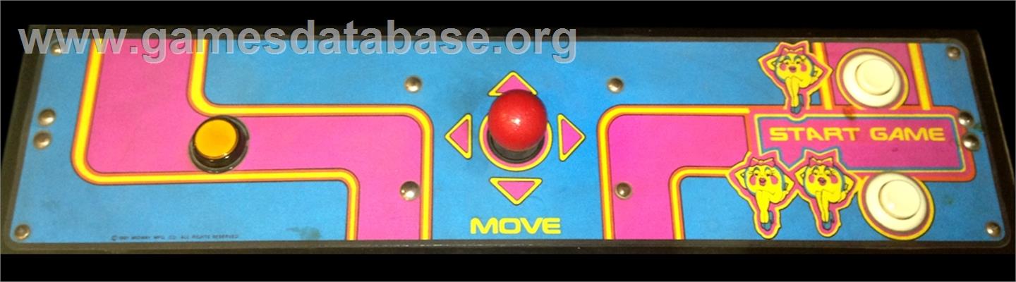 Ms. Pacman Champion Edition / Super Zola-Puc Gal - Arcade - Artwork - Control Panel