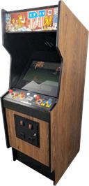 Arcade Cabinet for DJ Boy.