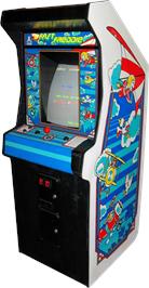 Arcade Cabinet for Fast Freddie.