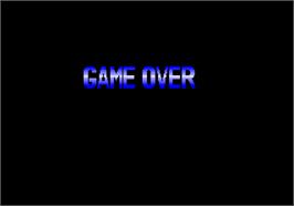 Game Over Screen for Champion Wrestler.