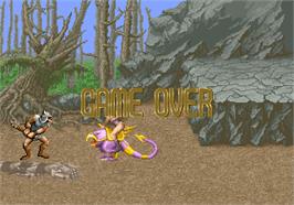 Game Over Screen for Golden Axe.