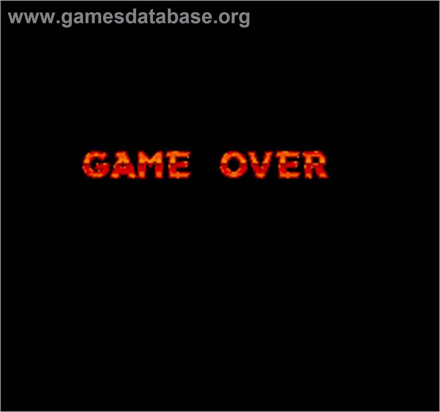 Crude Buster - Arcade - Artwork - Game Over Screen