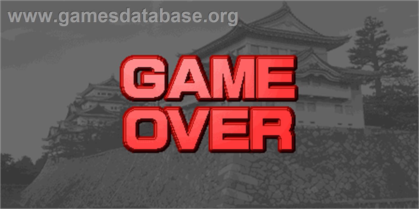 Dragon World 2001 - Arcade - Artwork - Game Over Screen