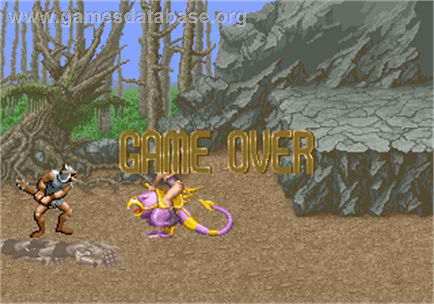 Golden Axe - Arcade - Artwork - Game Over Screen