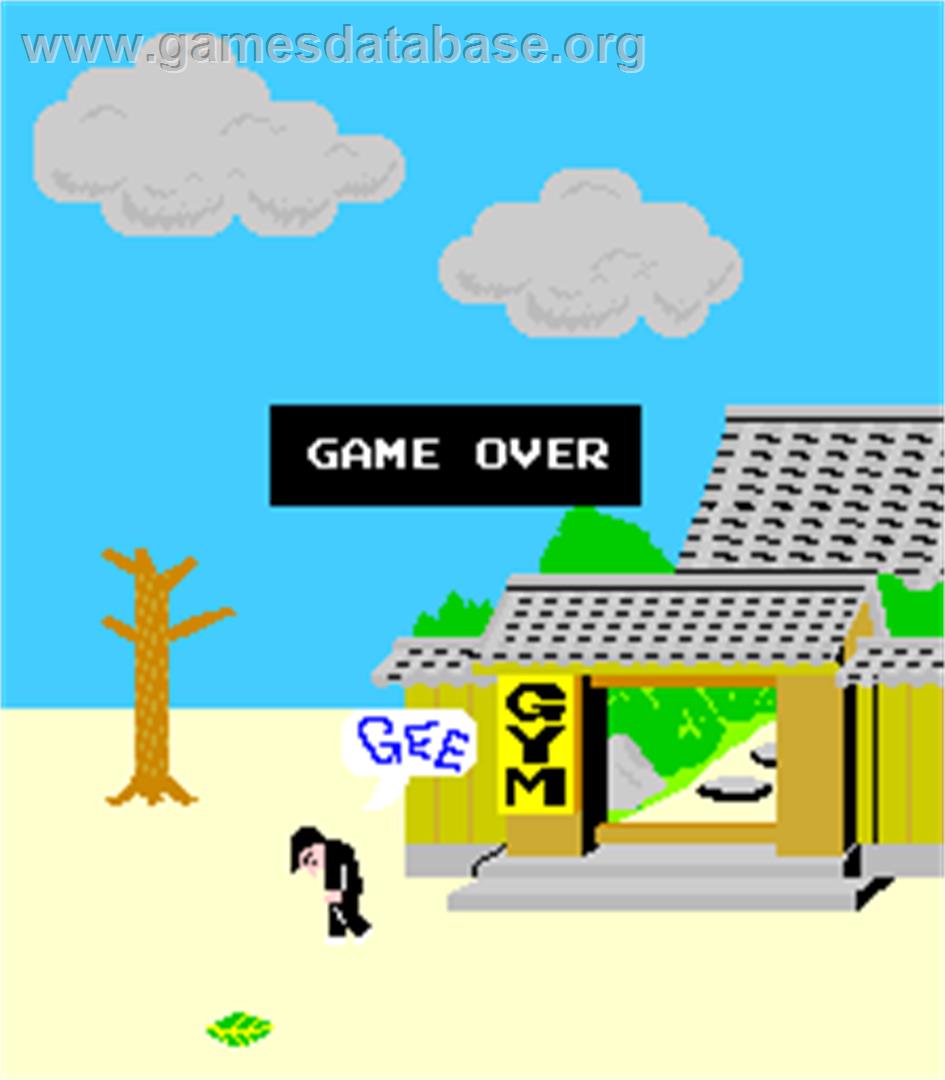 Karate Champ - Arcade - Artwork - Game Over Screen