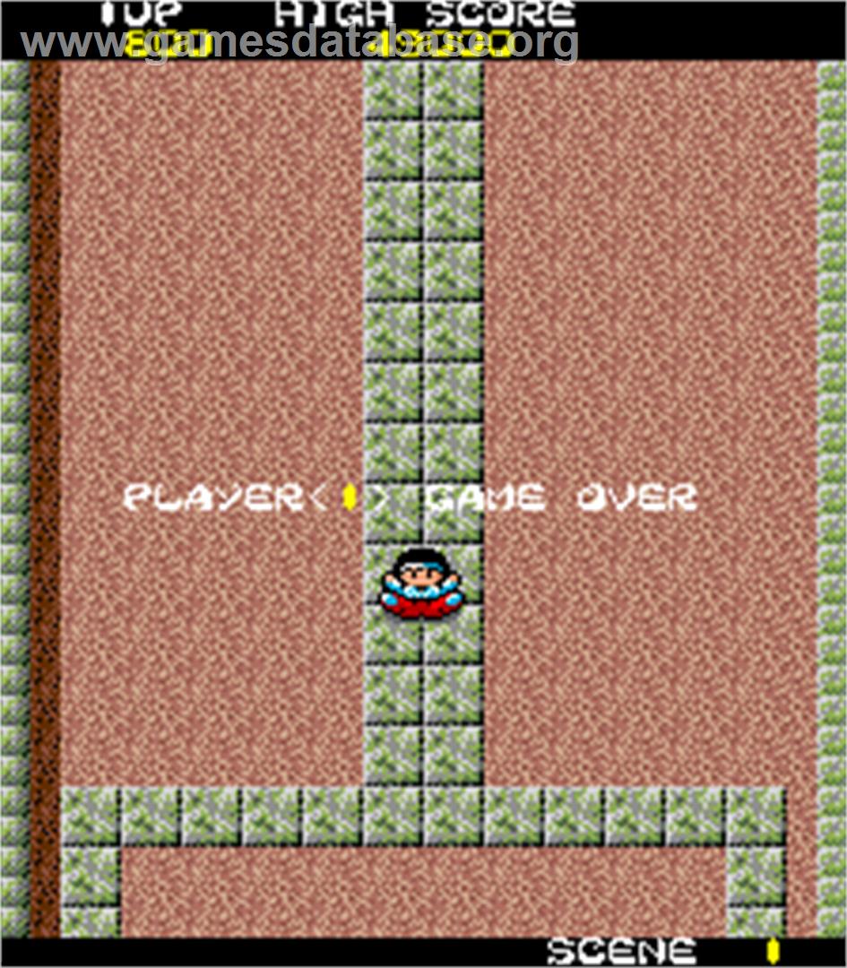 KiKi KaiKai - Arcade - Artwork - Game Over Screen