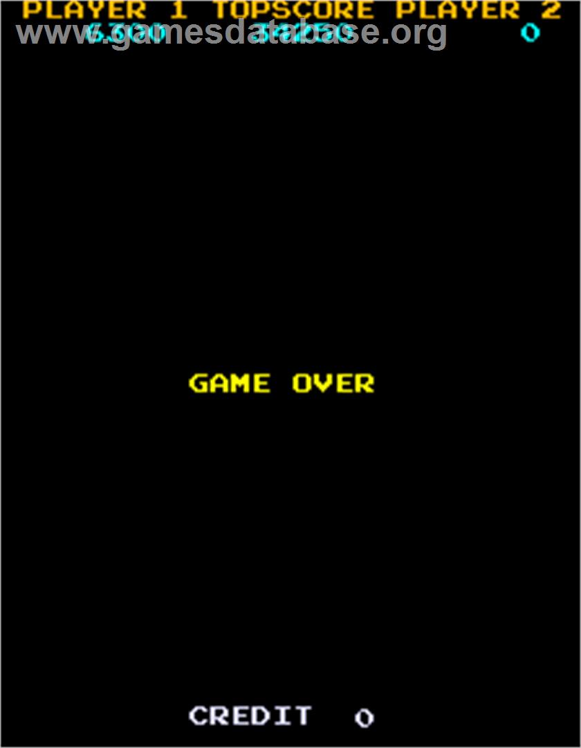 Lizard Wizard - Arcade - Artwork - Game Over Screen