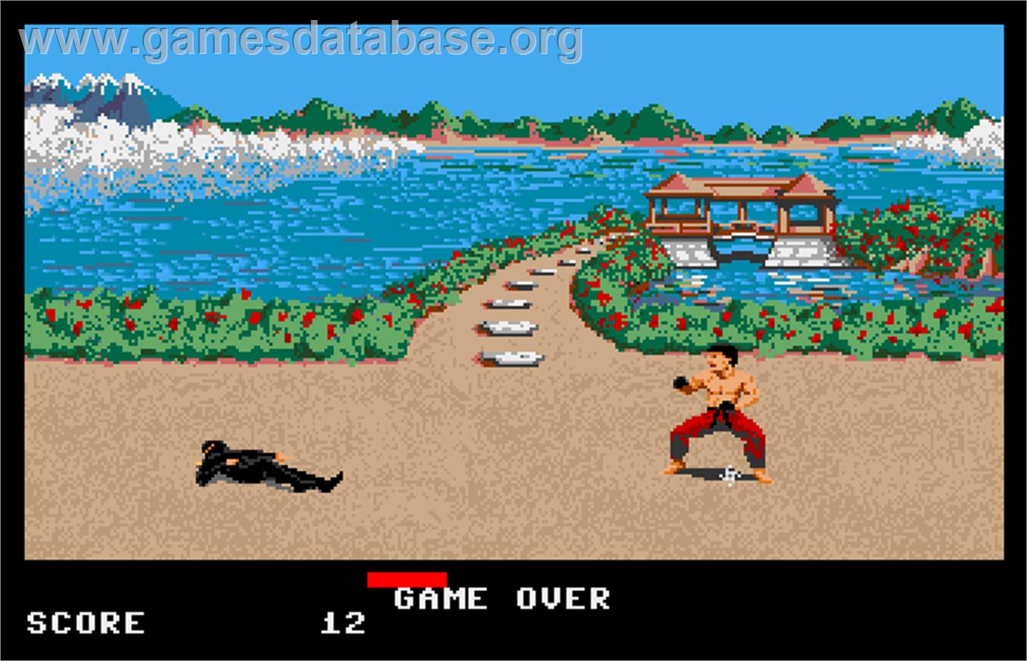 Ninja Mission - Arcade - Artwork - Game Over Screen