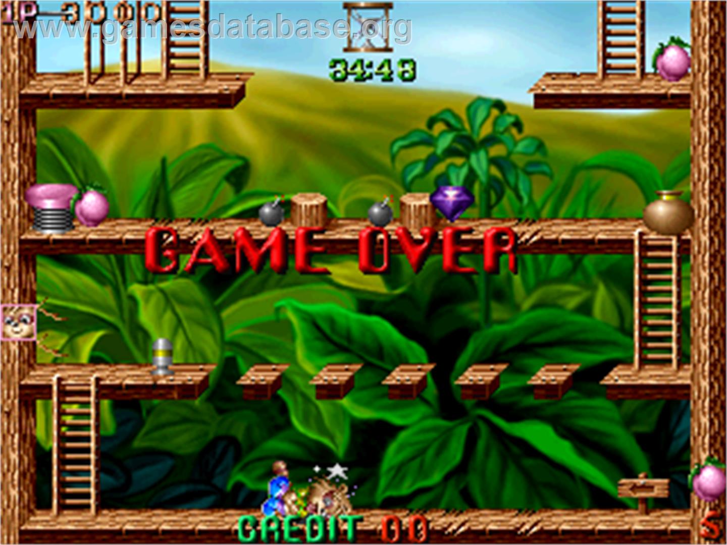 Raccoon World - Arcade - Artwork - Game Over Screen