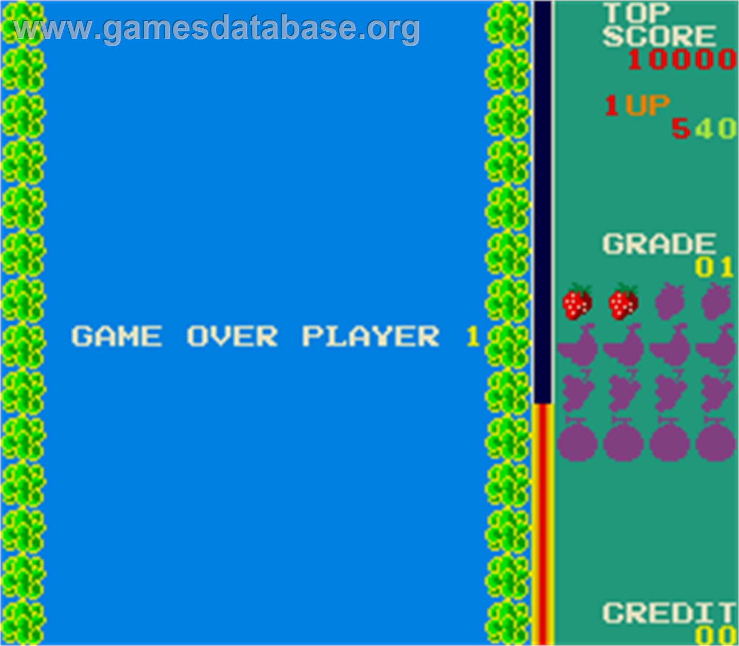 Swimmer - Arcade - Artwork - Game Over Screen