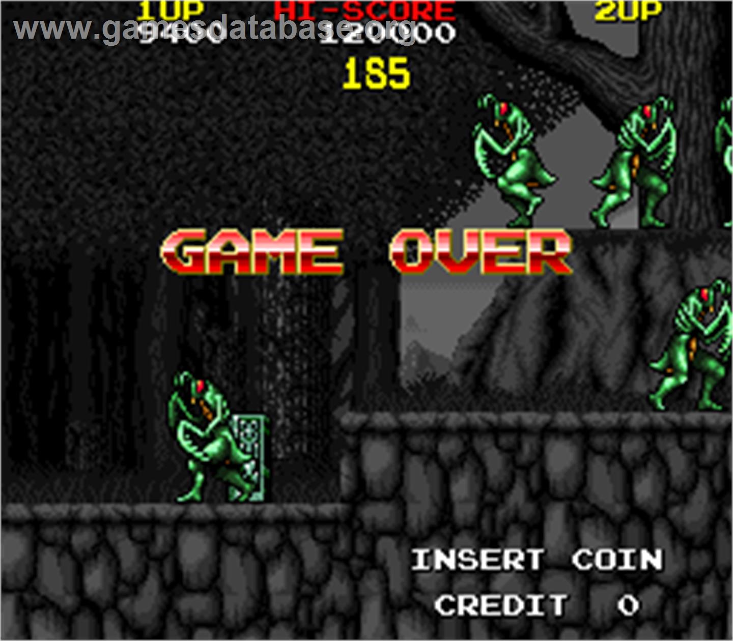 The Lord of King - Arcade - Artwork - Game Over Screen