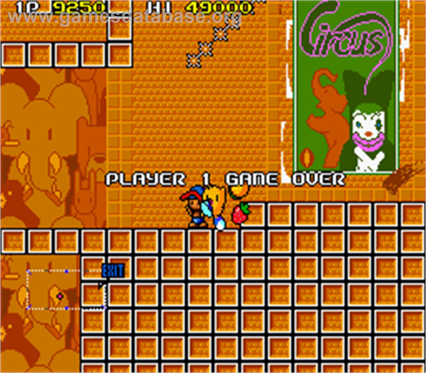 The NewZealand Story - Arcade - Artwork - Game Over Screen
