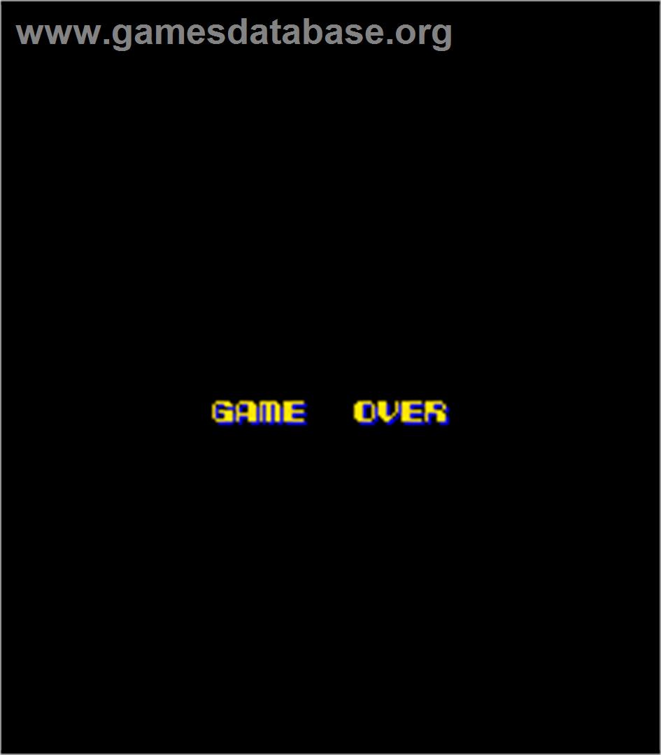 Wiz - Arcade - Artwork - Game Over Screen