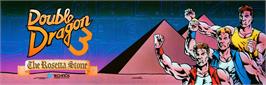 Arcade Cabinet Marquee for Double Dragon 3: The Rosetta Stone.