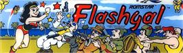 Arcade Cabinet Marquee for Flashgal.