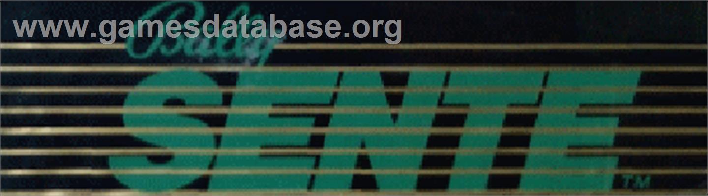 Sente Diagnostic Cartridge - Arcade - Artwork - Marquee