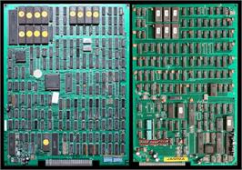Printed Circuit Board for Lady Frog.