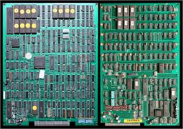 Printed Circuit Board for Lady Frog.