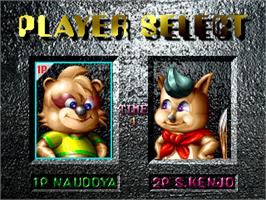 Select Screen for Raccoon World.
