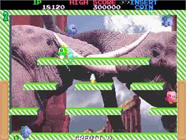 In game image of Bubble Memories: The Story Of Bubble Bobble III on the Arcade.