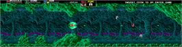 In game image of Darius on the Arcade.