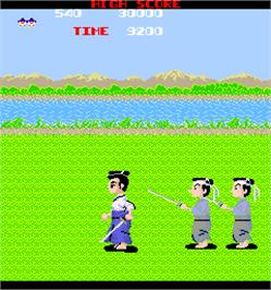 In game image of Samurai Nihon-ichi on the Arcade.