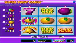 In game image of Super Fruit Bonus on the Arcade.