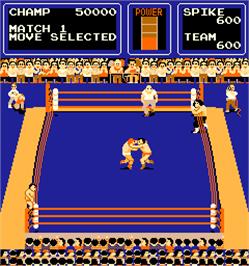In game image of Tag Team Wrestling on the Arcade.