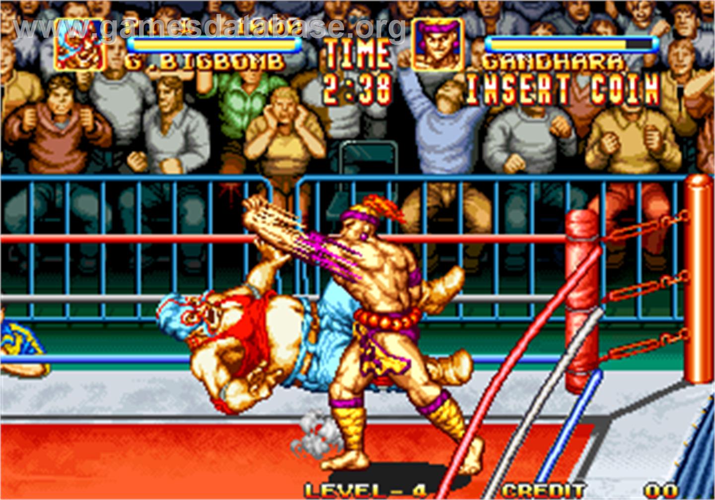 3 Count Bout / Fire Suplex - Arcade - Artwork - In Game
