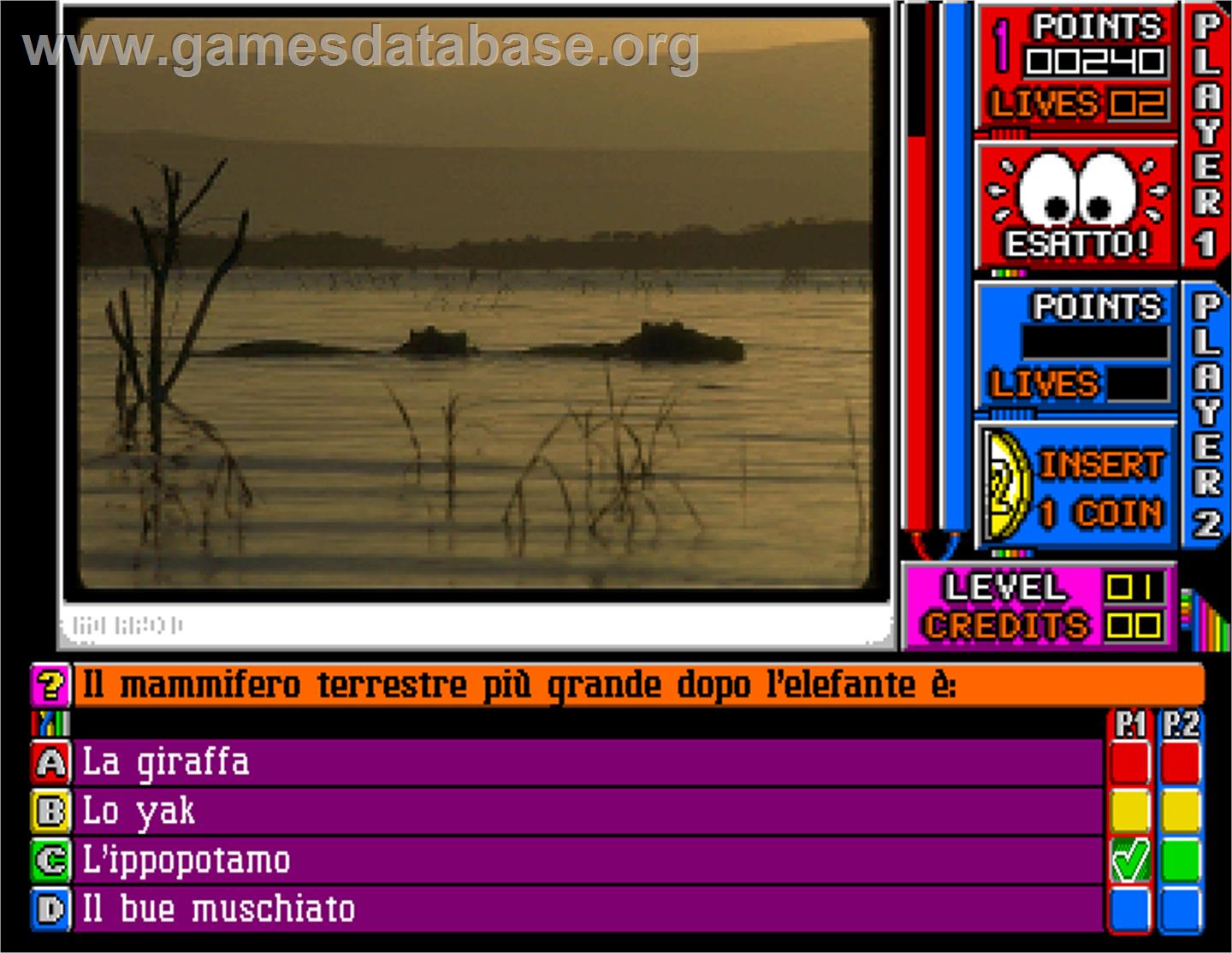 Laser Quiz 2 Italy - Arcade - Artwork - In Game